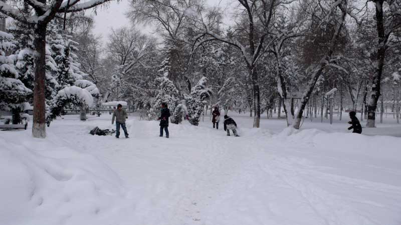 戏雪图 摄影 PIAOJINLONG