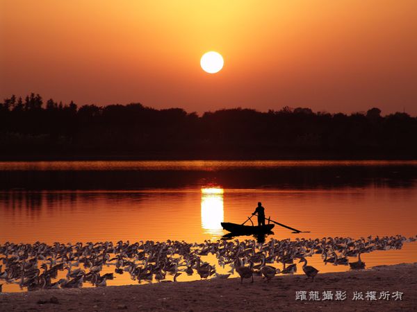 《归》 摄影 江跃龙