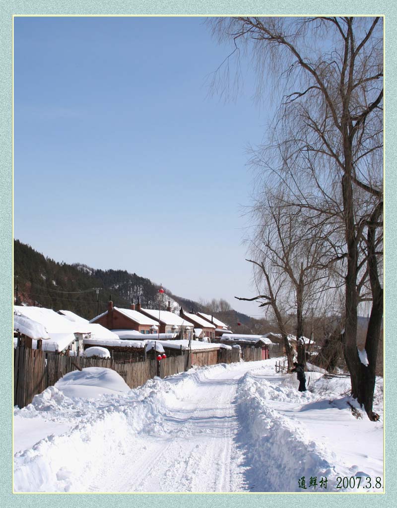 07春雪 摄影 银雪