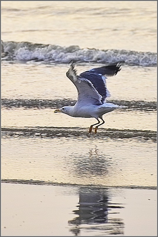 逐浪 摄影 jifeng0058