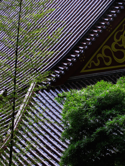 清风祥寺 摄影 光圈8.0