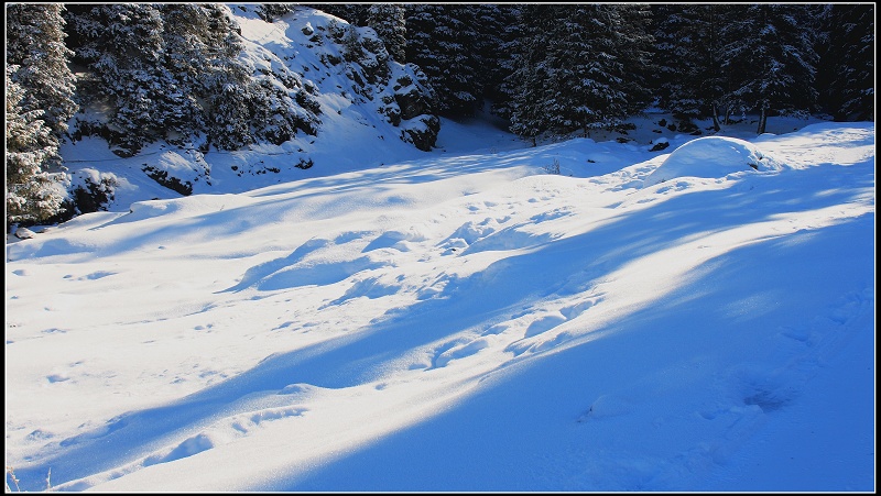 冬日小景 摄影 伤心雪季