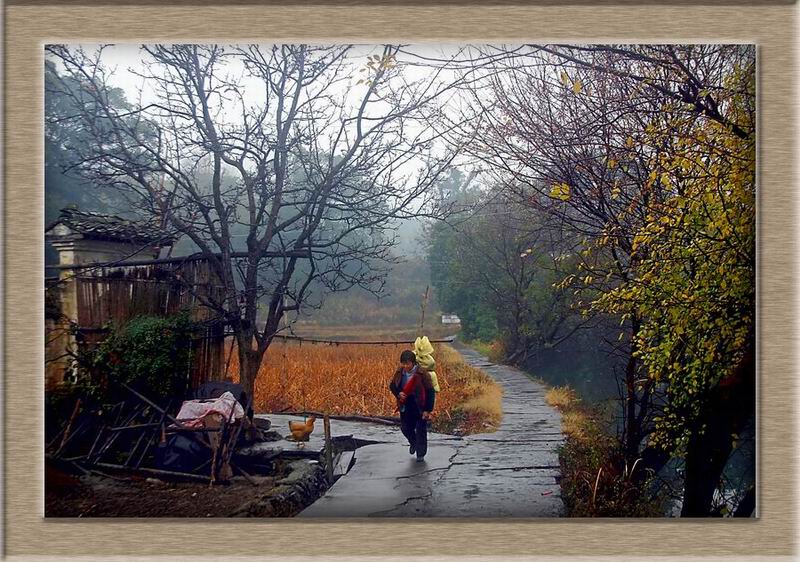 婺源深秋---晓起村雨后 摄影 风影之韵