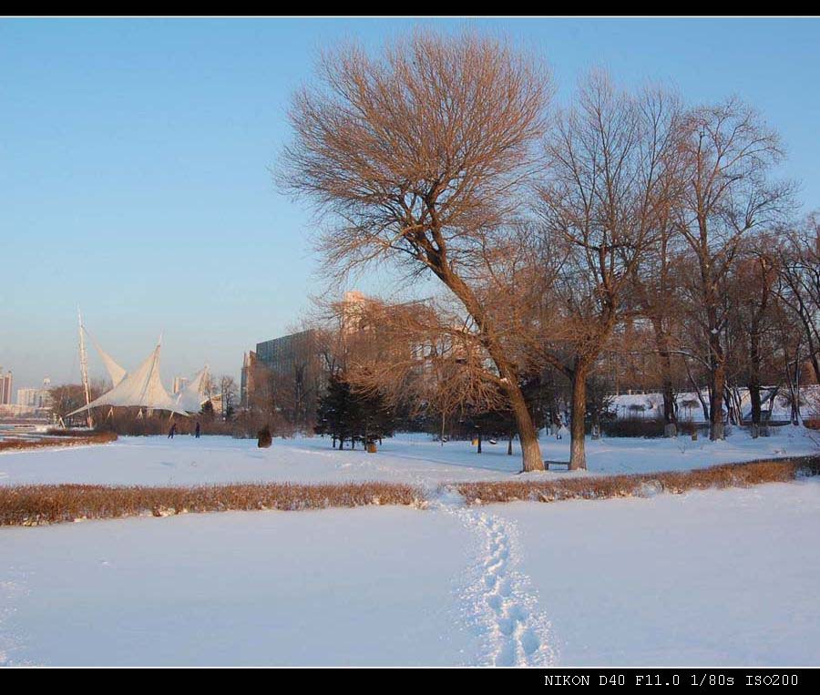 雪地情书 摄影 巴虎邨人