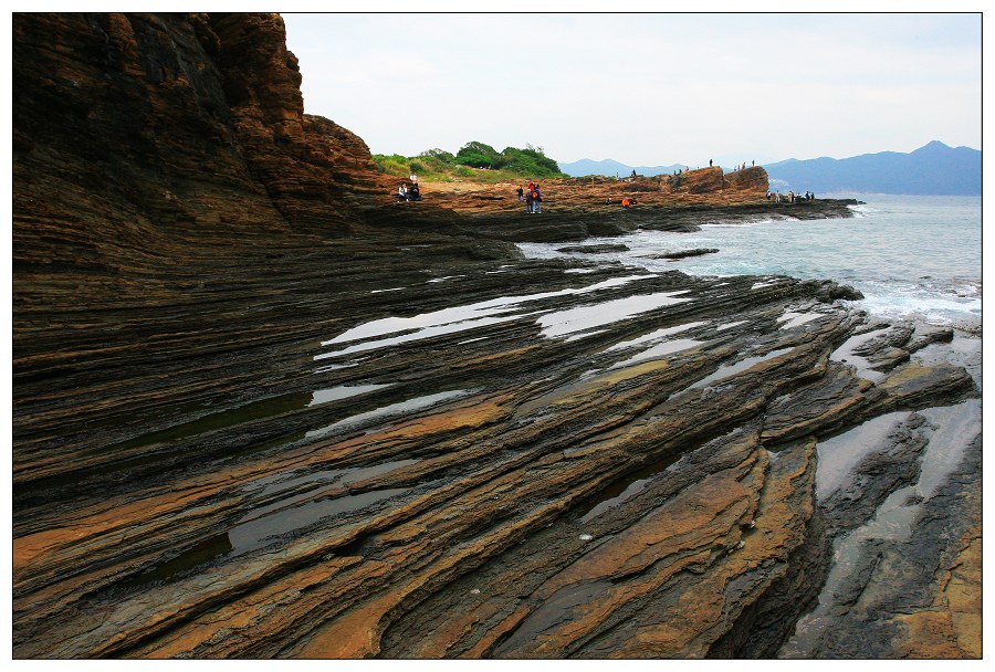 《海岸奇葩》·二 摄影 东山少爷