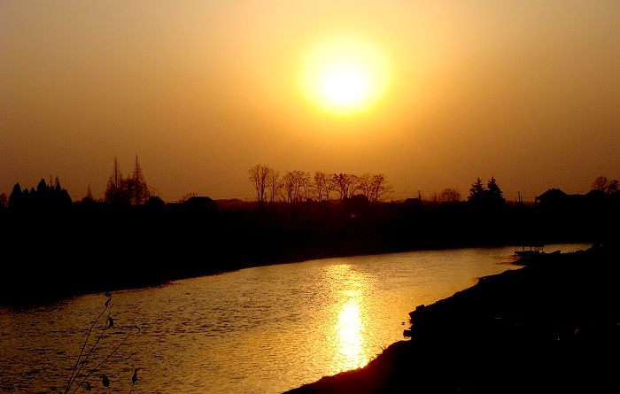 渡夕阳 摄影 蓝心鱼