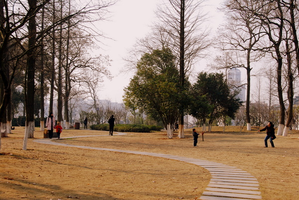 公园小景 摄影 永远顺风