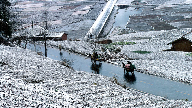 雪地马车 摄影 老格