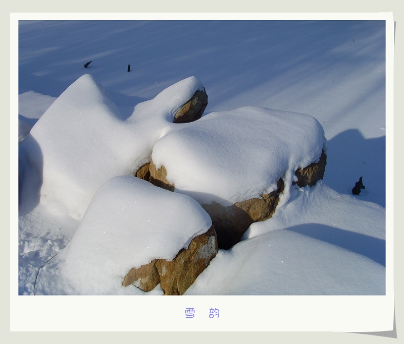 雪韵 摄影 阿兮