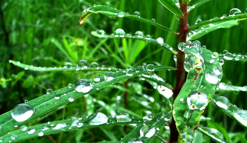 雨后 摄影 阳朔陈公兴