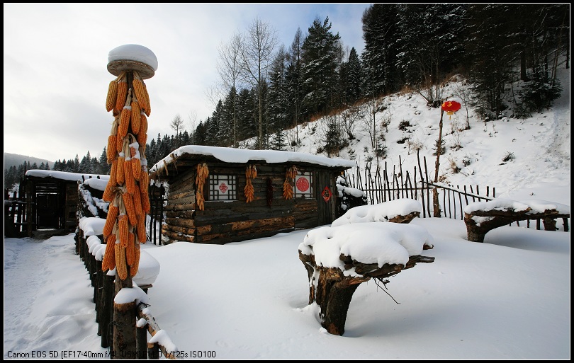 雪乡行—1 摄影 强弓硬弩