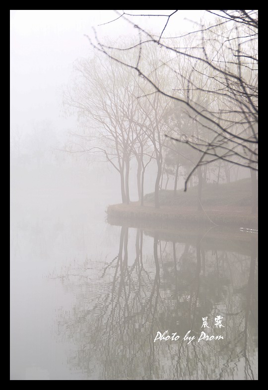 晨雾 摄影 PROM