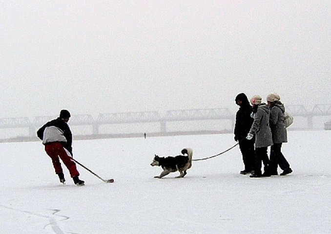 感受冰雪 摄影 记者侯云峰