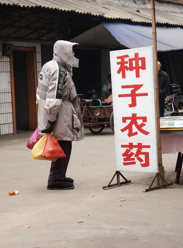 无言的伤害 摄影 可喜