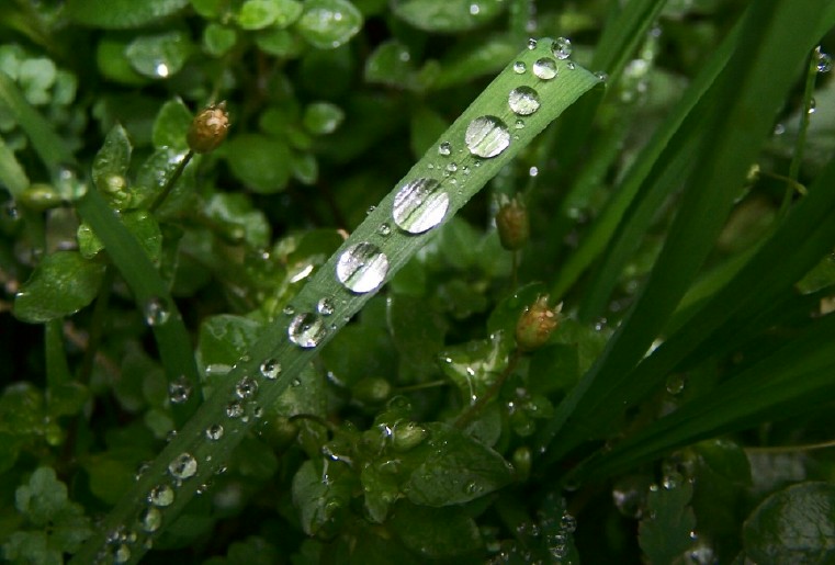 秋  雨 摄影 默岚