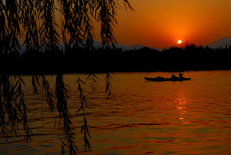 夕阳下的西湖 摄影 莫逐流