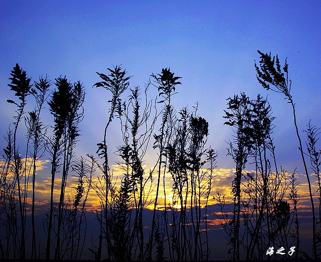 又见彩霞 摄影 海山掠影