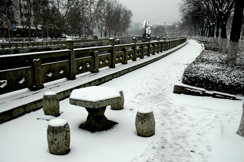 2008年第一场雪 摄影 啊金星