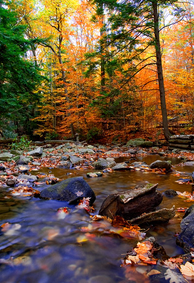 Laurel Mountain, Pennsylvania, 摄影 yuhan