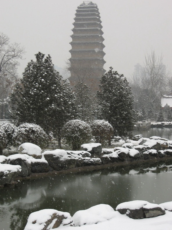 下雪了 摄影 小大人