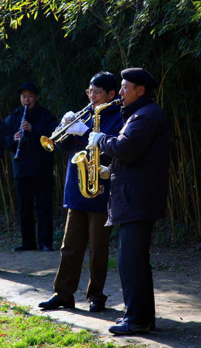 清晨序曲 摄影 joulus