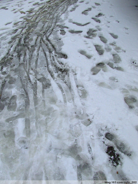 冬雪 摄影 象风一样