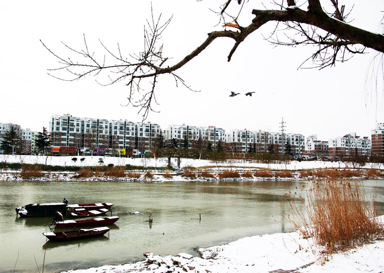 古黄河畔雪景图 摄影 wyl510718