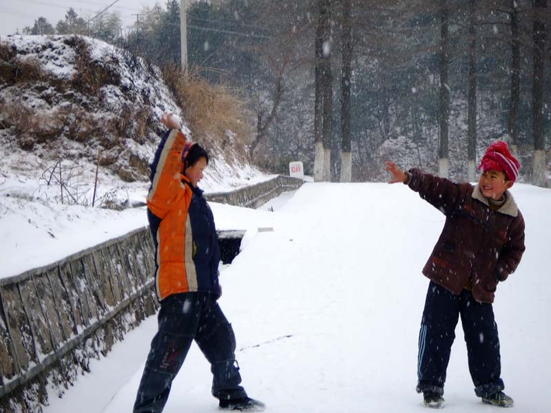 雪中情结 摄影 司空情缘