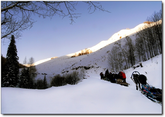 枫雪恋 摄影 自游自在