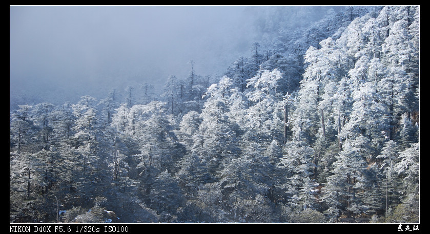 冰雪世界 摄影 暴走汉