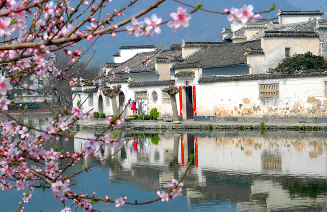 桃花源里人家 摄影 润土