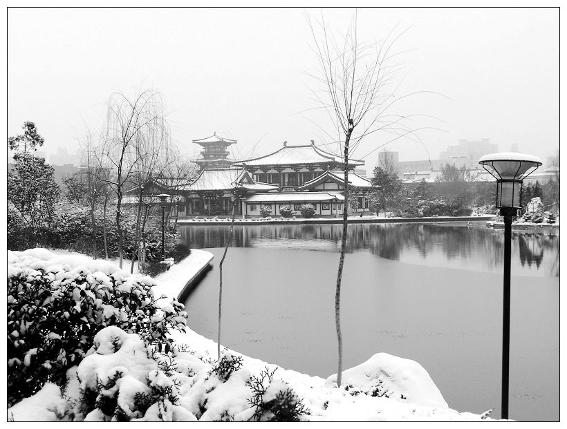 雪景 摄影 少派