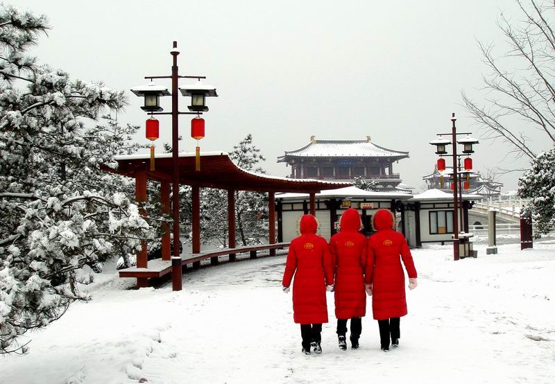 芙蓉踏雪 摄影 豪哥3039