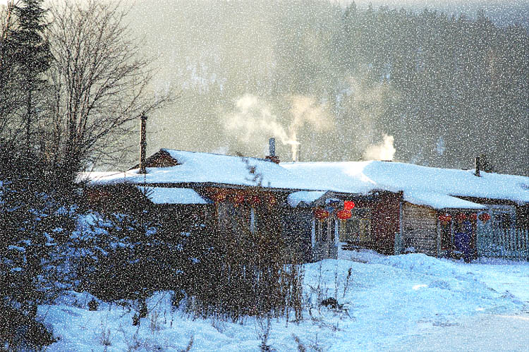 瑞雪丰年 摄影 四宝