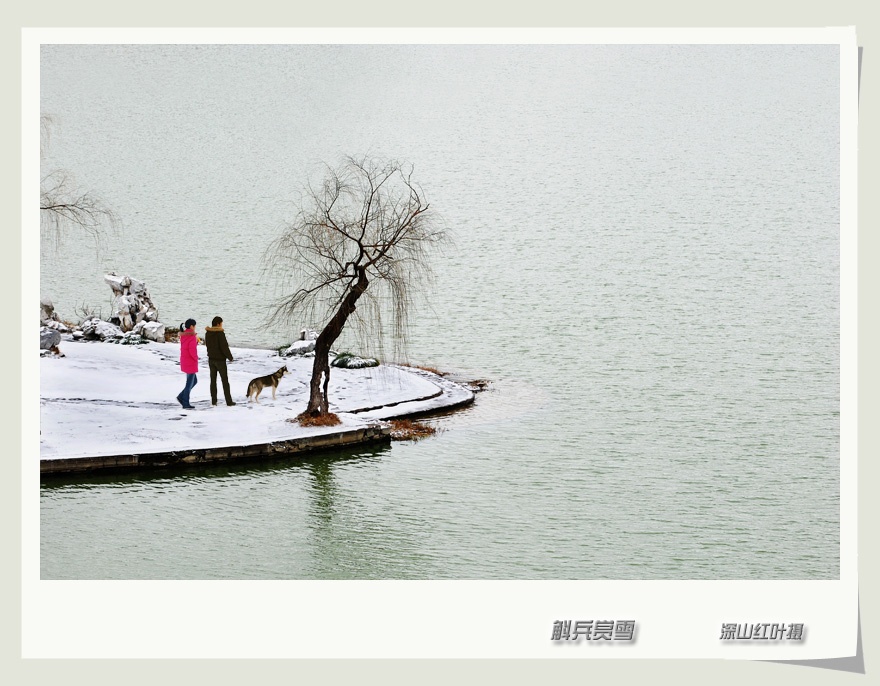 斛兵赏雪 摄影 -深山红叶-