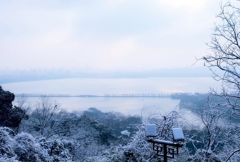 2008年杭州的第一场雪 摄影 晚风柳笛