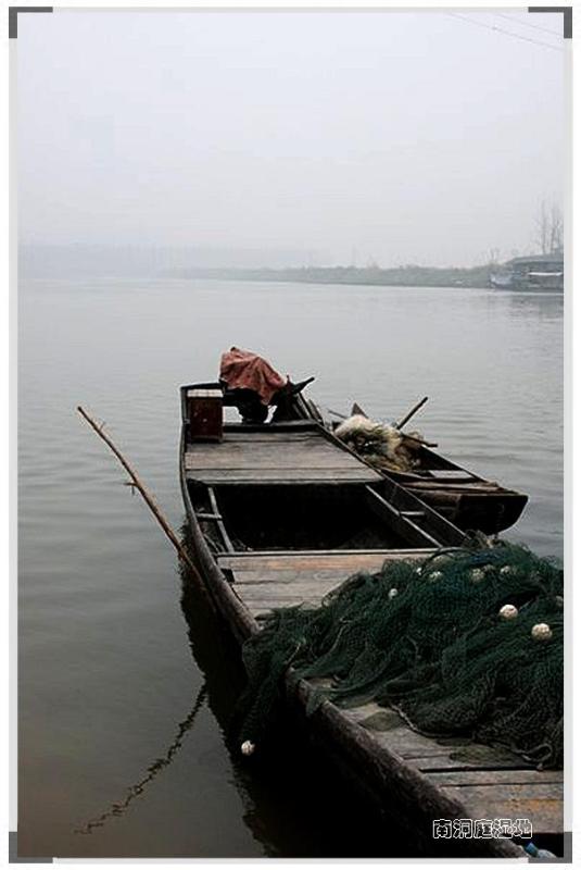 南洞庭湿地 摄影 诺梵