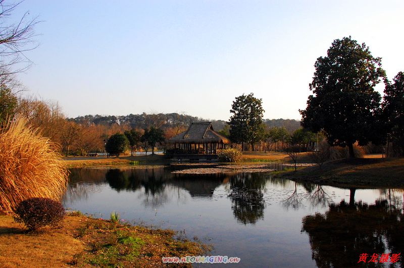 冬景 摄影 黄龙