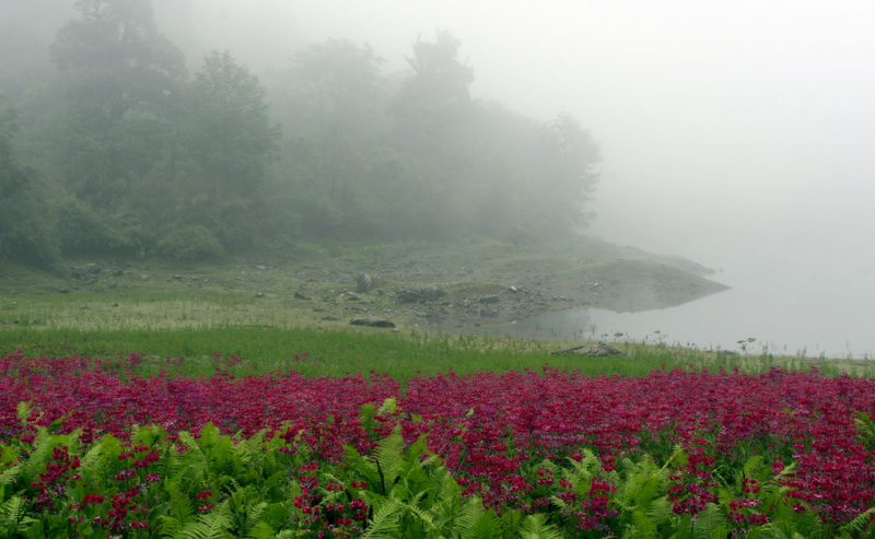 细雨 摄影 夏之梦