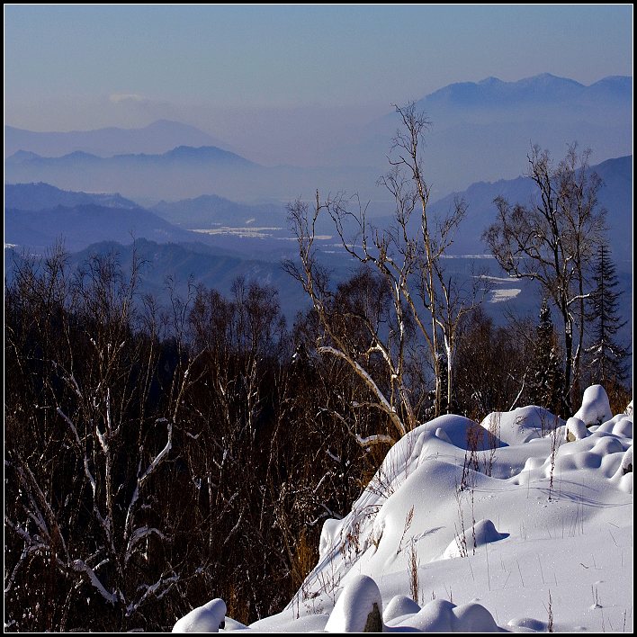 雪韵 摄影 老猿