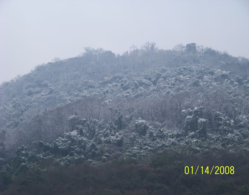 08年杭州第一场雪 摄影 没天理