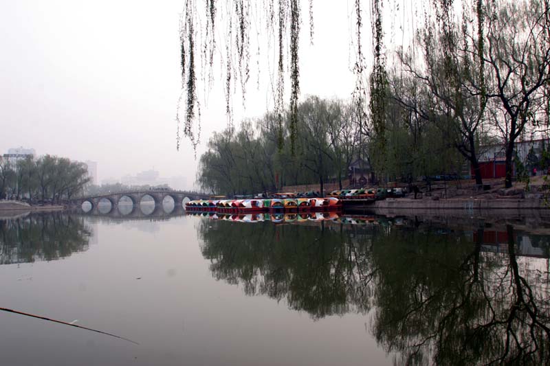 太原小景 摄影 西北老狼