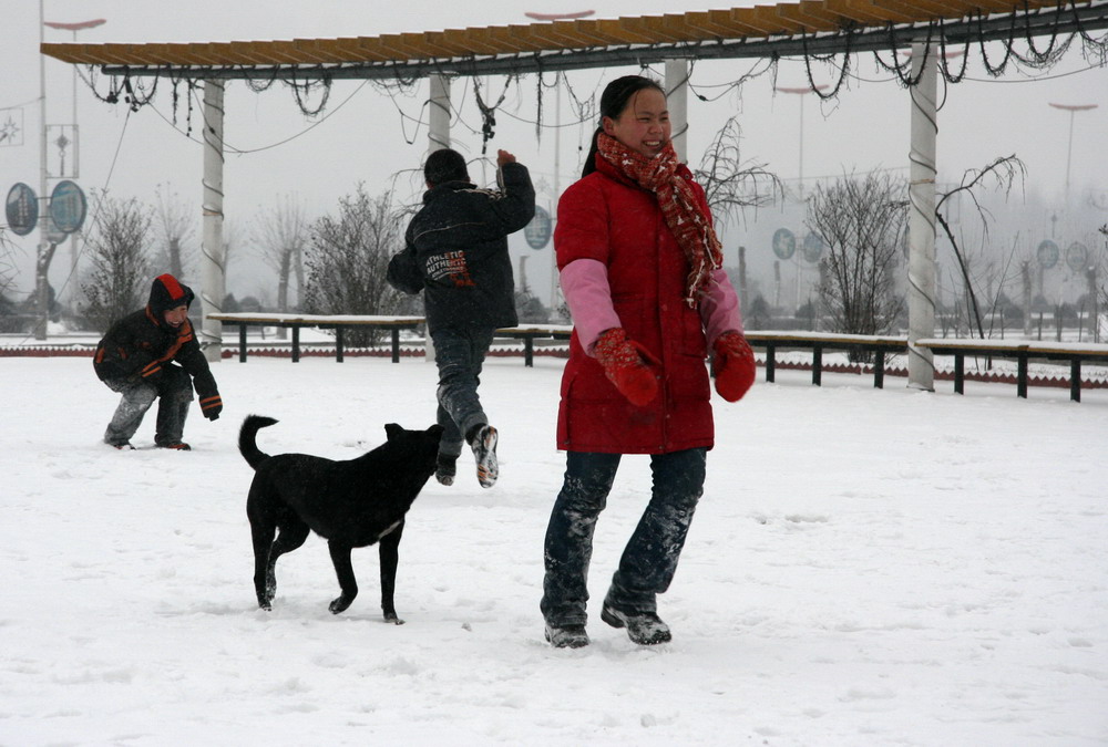 2008年第一场雪（四）嬉雪 摄影 北极狼