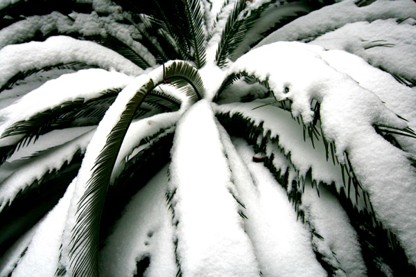 小小雪景 摄影 华华1023