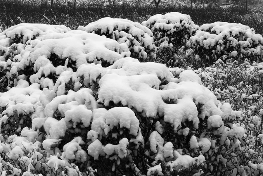 雪景 摄影 梦杳