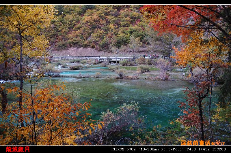 九寨盆景滩 摄影 龙城岁月