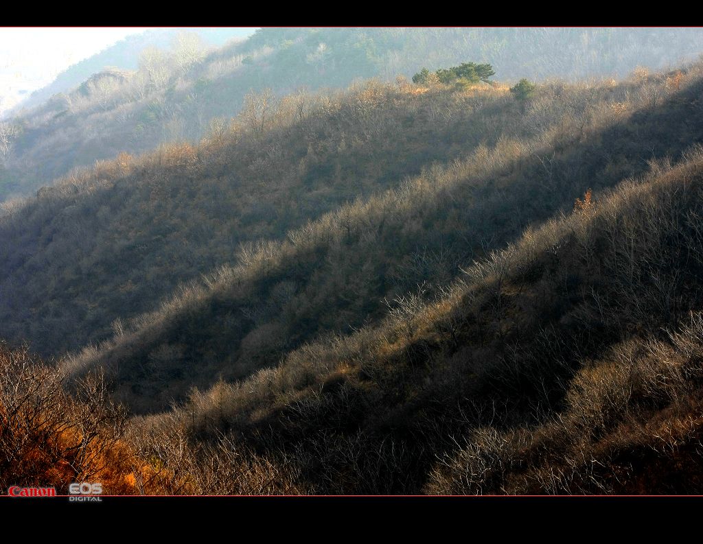 深秋山景 摄影 北京大李