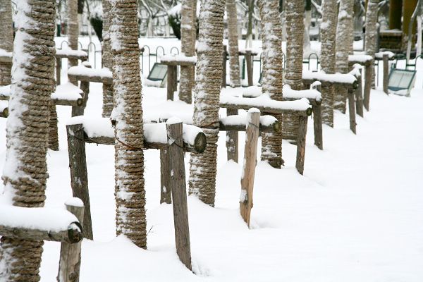 2008/ 盐阜大地的第一场雪 摄影 江苏 陈应海