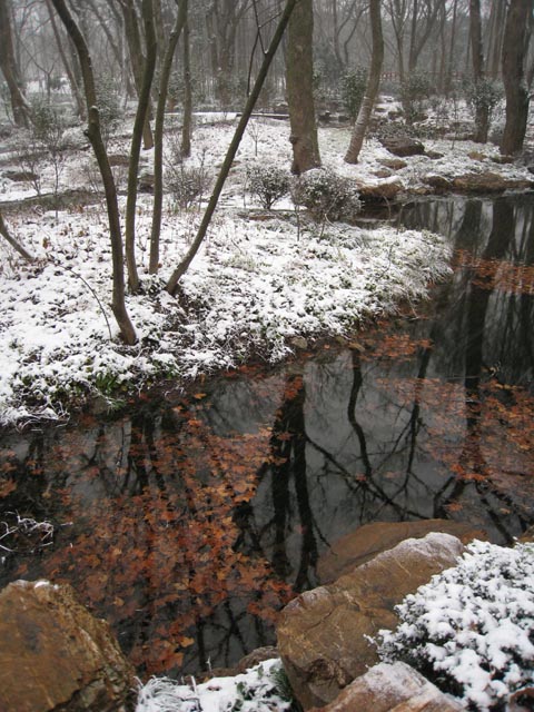 南京雪景 摄影 KOALA考拉