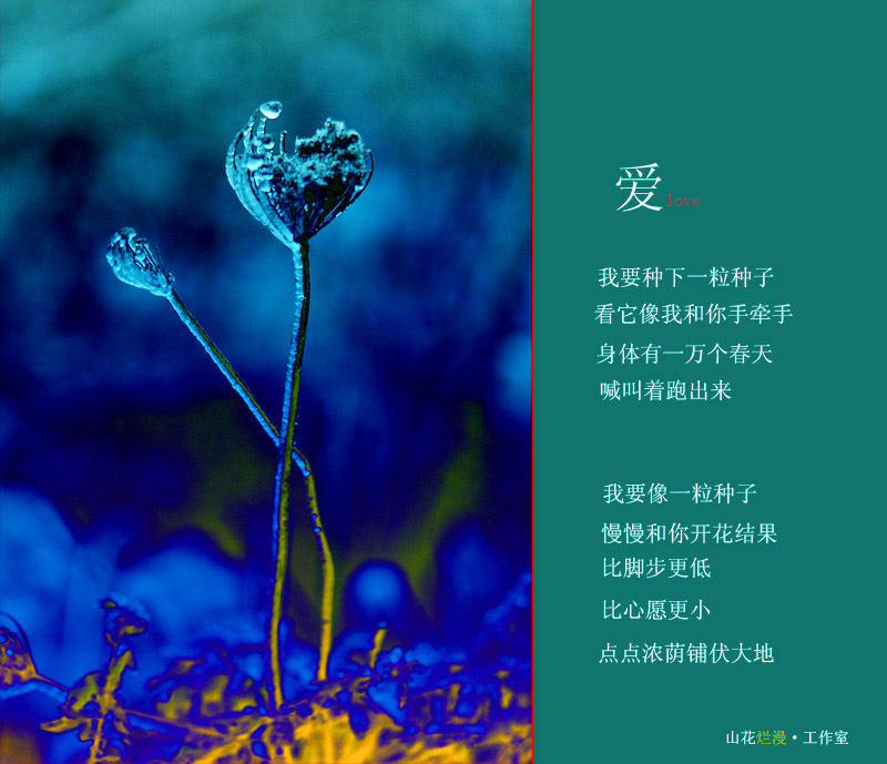 爱love 摄影 贵州山花烂漫